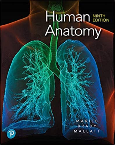 Human Anatomy (9th Edition) - Marieb/Mallatt/Brady - eBook