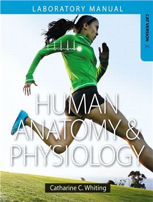 Human Anatomy and Physiology Laboratory Manual: Making Connections (Cat Version) - eBook