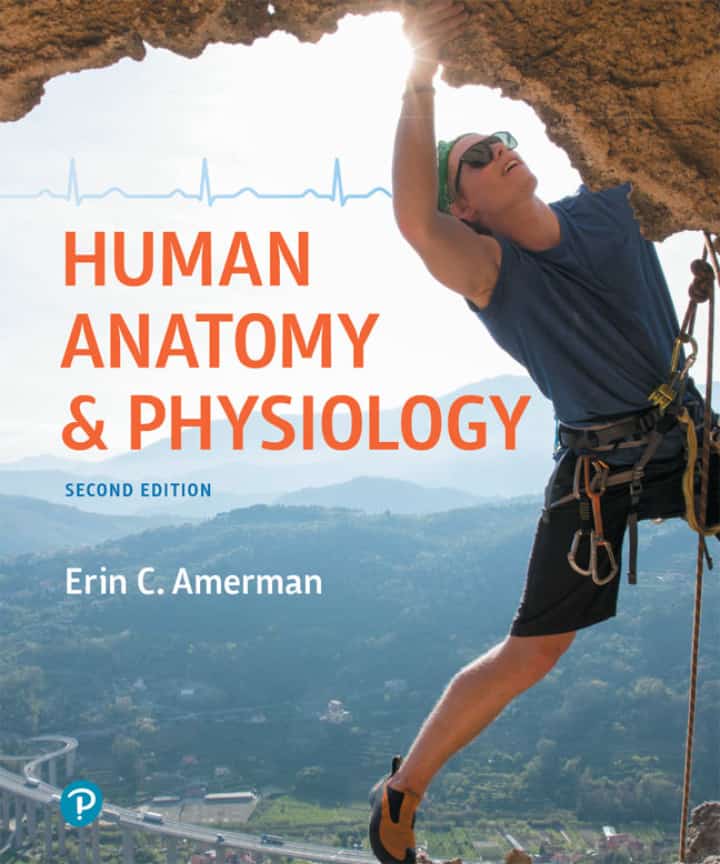 Human Anatomy and Physiology (2nd Edition) - eBook