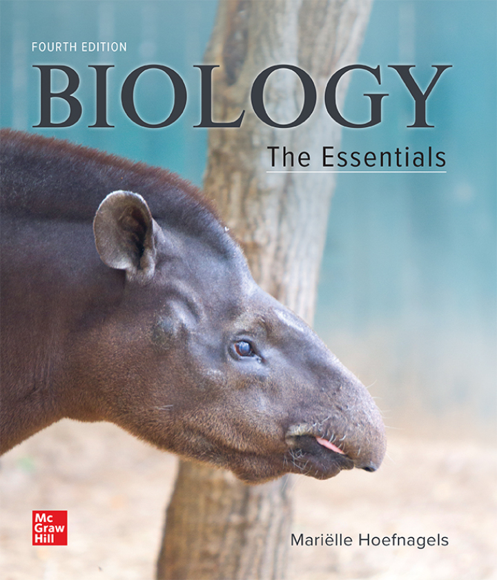 Biology: The Essentials (4th Edition) - eBook