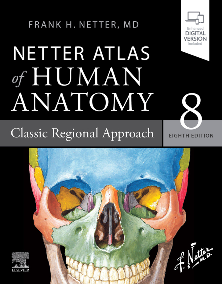 Netter Atlas of Human Anatomy: Classic Regional Approach (8th Edition) - eBook