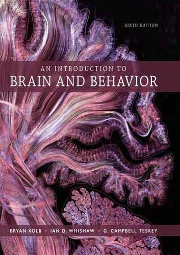 An Introduction to Brain and Behavior (6th Edition) - eBook