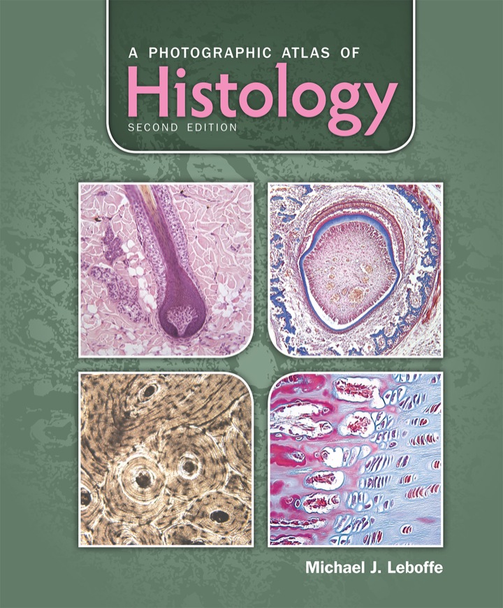 A Photographic Atlas of Histology (2nd Edition) - eBook