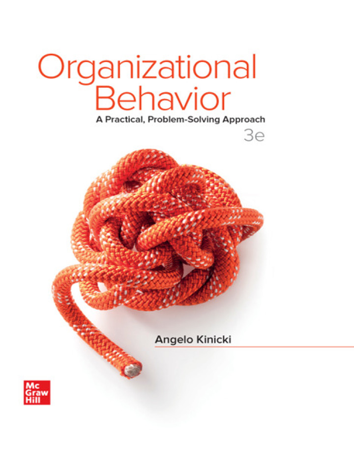Organizational Behavior: A Practical, Problem-Solving Approach (3rd Edition) - eBook