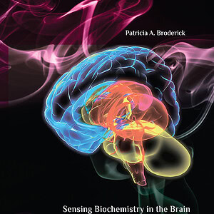 Neuroimaging: Sensing Biochemistry in the Brain - eBook