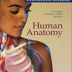 Human Anatomy: 2024 Evergreen Release - eBook