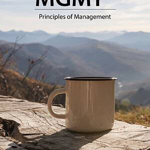 MGMT: Principles of Management (13th Edition) - eBook