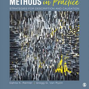 Research Methods in Practice: Strategies for Description and Causation (3rd Edition) - eBook