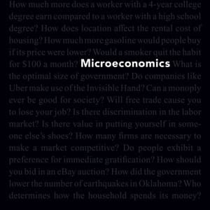 Microeconomics (3rd Edition) - eBook