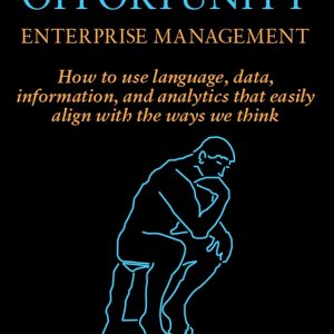 Problem, RIsk, and Opportunity Enterprise Management: How to use language, data, information, and analytics that easily align with the ways we think - eBook
